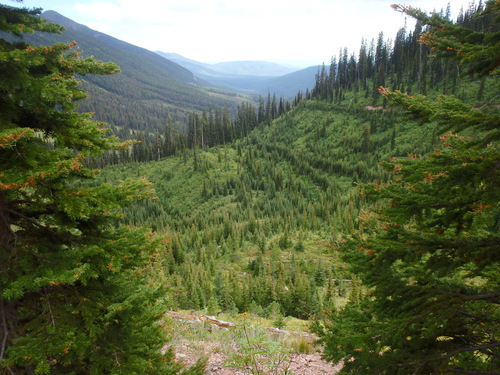 GDMBR: Our view south down the Morrell River Valley.